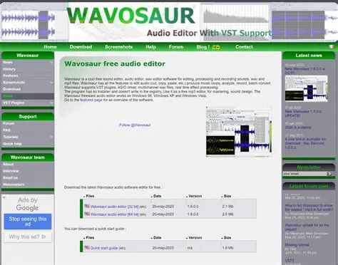 Overview of Wavosaur Audio Editor