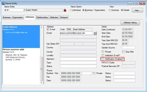 Overview Window for All Addresses