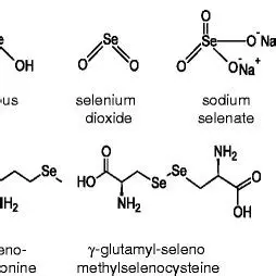 Oxidation States of Selenium