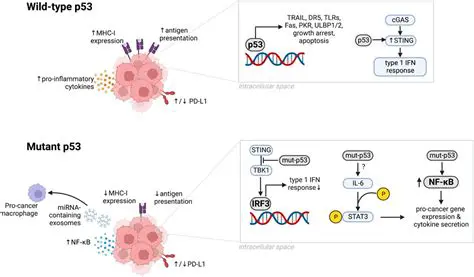 P53 Expression in Meningioma