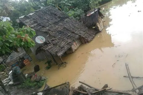 Pagbaha at pagguho ng lupa