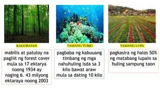 Pagkawala ng Biodibersidad