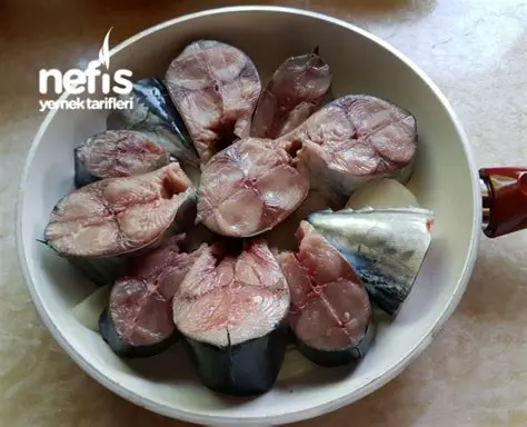 Palamut Balığı: Karadeniz'in Hazine Kökleri ve Gastronomik Değeri