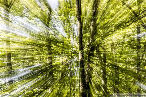 Panning and zooming effects