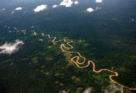 Parque Nacional de la Amazonia