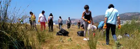 Participar en actividades de ayuda