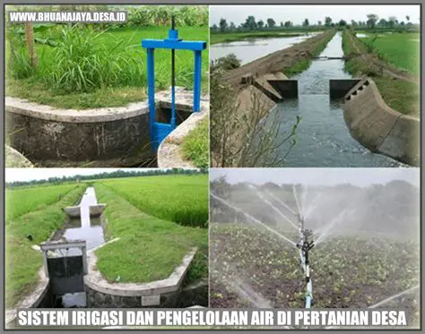 Pengaruh Teknik Irigasi dan Pelarut pada Kebersihan Saluran Akar