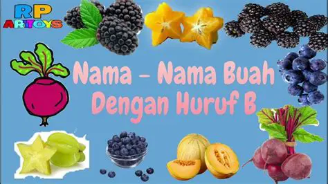 Pengenalan Belajar Blackberry