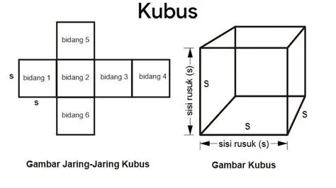 Pengertian Kubus dan Luas Permukaannya