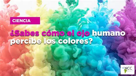 Percibiendo y Escribiendo los Ocho Restantes