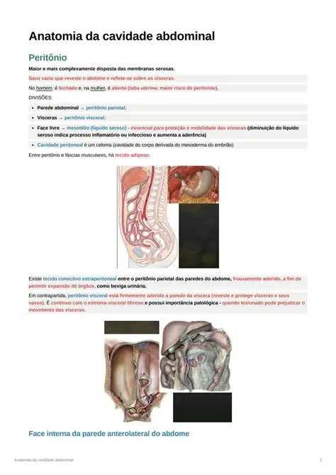 Perguntas e Respostas sobre a Anatomia da Cavidade Abdominal