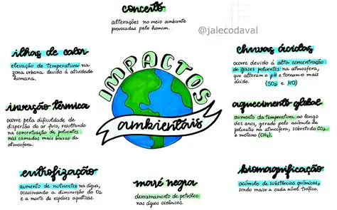 Perguntas e Respostas sobre a Atividade Humana e os Impactos Ambientais