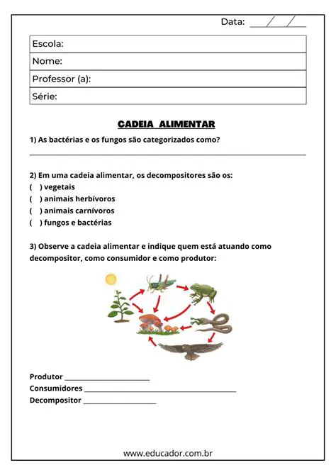 Perguntas e Respostas sobre a Cadeia Alimentar