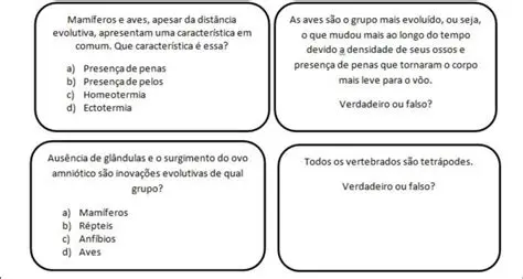 Perguntas e Respostas sobre a Causalidade e a Narrativa