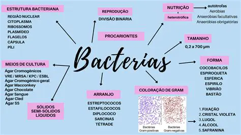Perguntas e Respostas sobre a Microbiologia