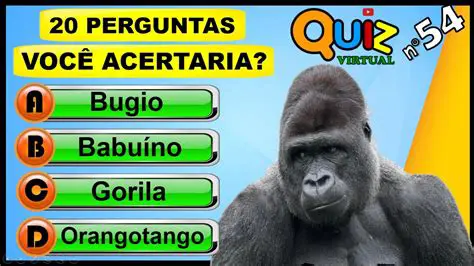 Perguntas e Respostas sobre a Quebra da Super do Brasil