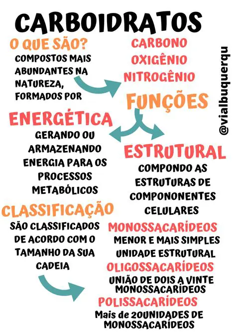 Perguntas e Respostas sobre Carboidratos e Gorduras