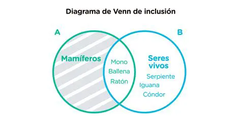 Perguntas e Respostas sobre Conjuntos e Diagramas de Venn