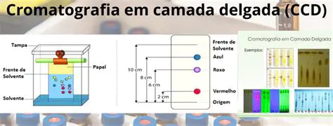 Perguntas e Respostas sobre Cromatografia em Camada Delgada