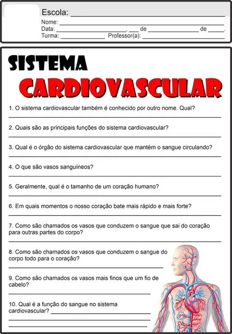 Perguntas e Respostas sobre o Desenvolvimento do Sistema Cardiovascular