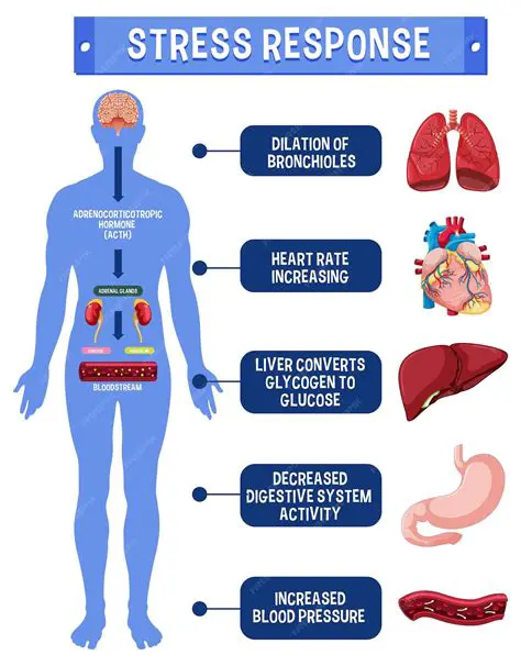 Perguntas e Respostas sobre o Estresse no Setor de Alimentos