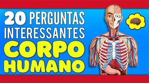 Perguntas e Respostas sobre o Intestino Humano