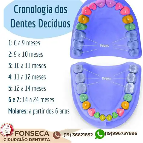 Perguntas e Respostas sobre os Dentes de Leite