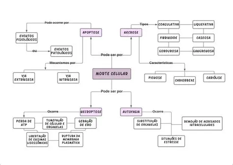 Perguntas e Respostas sobre os Tipos de Pele