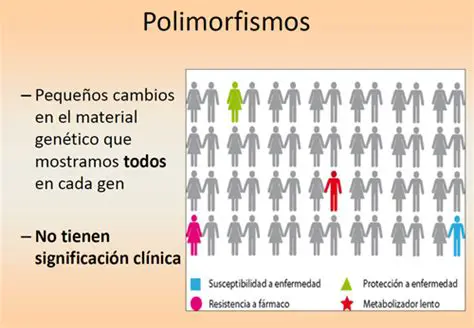 Perguntas e Respostas sobre Polimorfismos Funcionais
