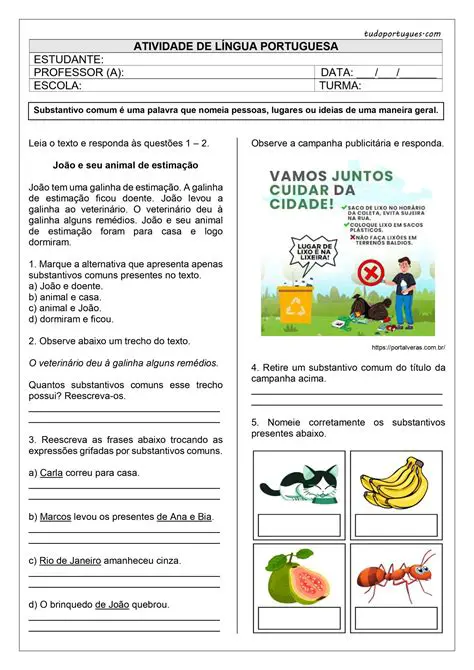 Perguntas e Respostas sobre Substantivos Comuns