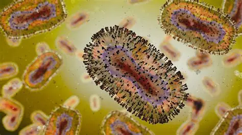 Perguntas e Respostas sobre Zoonoses