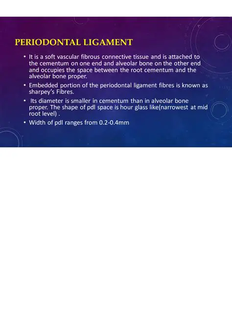 Periodontal ligament breakdown
