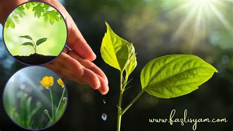 Pertanyaan dan Jawaban tentang Pengaruh Cahaya Terhadap Pertumbuhan Tinggi Tanaman