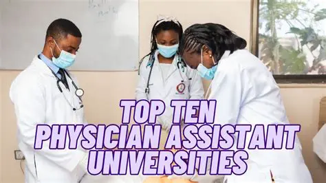 Physician Assistants in the Netherlands: Opportunities and Insights