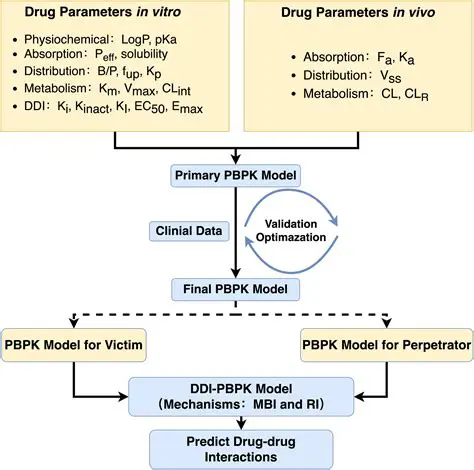 Physiological Parameters for PBPK Modeling