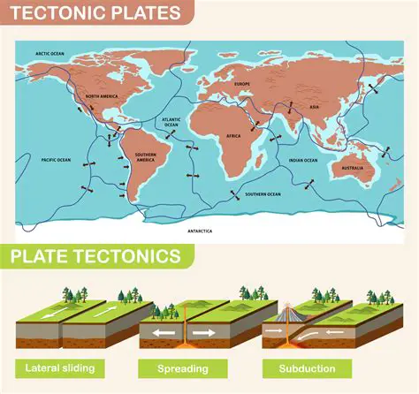 Plate Tectonics and the Cycling of Matter