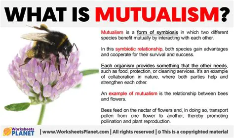 Pollination as a Classic Example of Mutualism