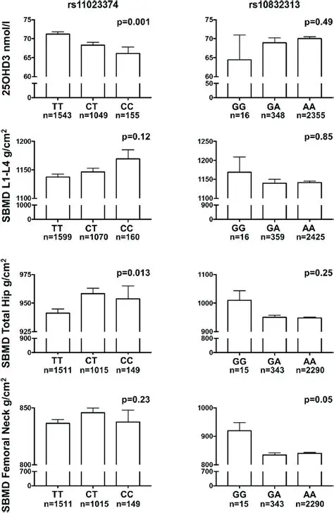 Polymorphism in the CYP2R1 gene
