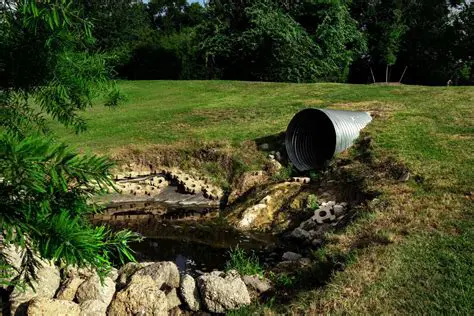 Poorly Maintained Septic System