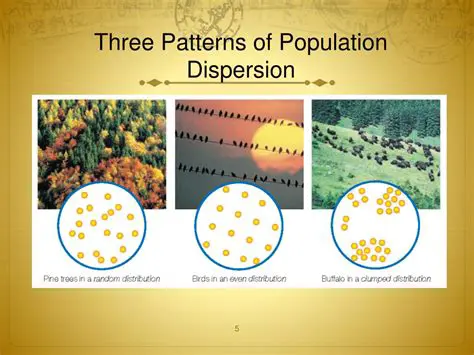 Population distribution patterns