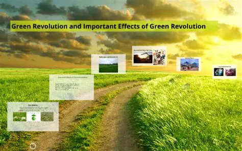 Positive Effects of the Green Revolution
