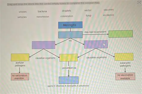 Possible Causes of NULL Output