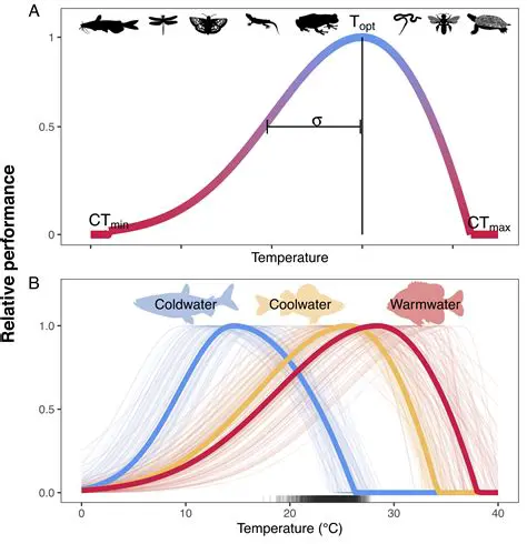 Possible Reasons Behind the Observed Temperatures