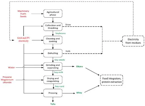 Potential of Tofu Liquid Waste as Liquid Organic Fertilizer for Kailan Mustard Plants