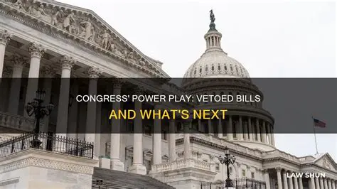 Power to Sign or Veto Bills