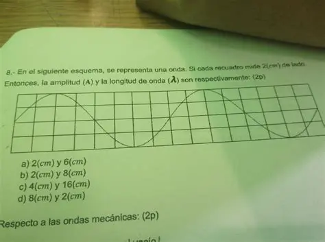 Preguntas Frecuentes sobre Amplitud y Rango