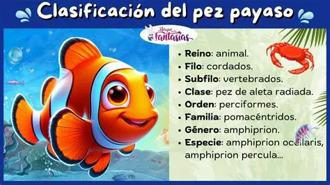 Preguntas Frecuentes sobre el Problema del Pez y los Palitos