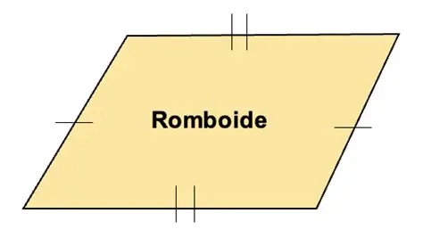 Preguntas sobre el Romboid