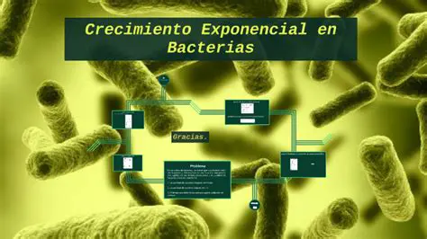 Preguntas y Respuestas sobre el Crecimiento Exponencial de las Bacterias
