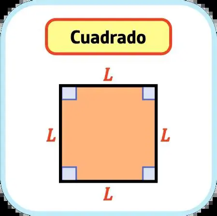 Preguntas y Respuestas sobre el Cuadrado y sus Fracciones